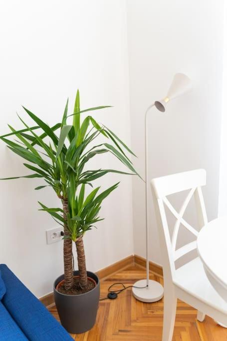 Completely New, Bonbona Lägenhet